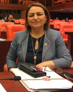 Basın Kartları sorunu meclis gündeminde