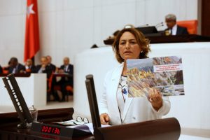 “Kupon araziler peşkeş çekilecek”