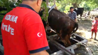 CANKUR, hayat ve can kurtarmaya devam ediyor.