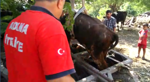 CANKUR, hayat ve can kurtarmaya devam ediyor.