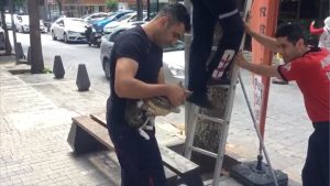 3 gün boyunca ağaçta mahsur kalan kediyi CANKUR ekibi kurtardı