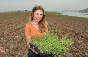 Adana ‘Lavanta’ kokacak