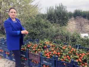 “İsabetli tarım politikamız yok!”