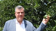 “Narenciyede rekolte kaybına karşı üretici ve tüketiciler için önlem alınmalıdır”
