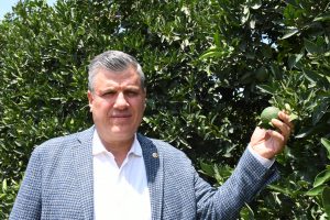 “Narenciyede rekolte kaybına karşı üretici ve tüketiciler için önlem alınmalıdır”