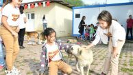 “Her okula bir köpek”