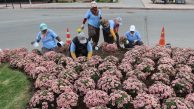 Büyükşehir; daha estetik, daha sağlıklı, daha güvenli Adana için çalışıyor