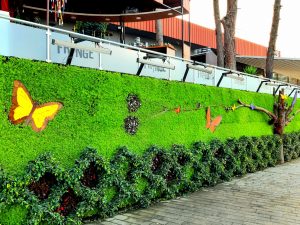 Sahil yolunda dikey bahçe çalışması…