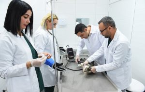 Seyhan’da Sokak hayvanları kısırlaştırılıyor