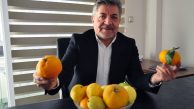 “Üretici ödül beklerken cezalandırıldı!”