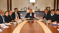 Sivrisinekle fiziksel ve kültürel mücadele…﻿