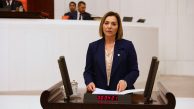 Sofulu Çöplüğü Meclis gündeminde!