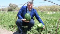 Ayhan Barut, karpuz tarlasında üreticilerle buluştu