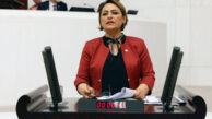 Çukurovalı çiftçi, yağmur, dolu ve TARSİM’e teslim oldu!”