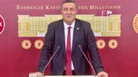 Gürer: “İktidar, iş yaşamındaki sorunları çözmek yerine, son kale olan tazminata göz dikti”