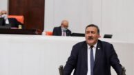 Hazine arazilerine toplulaştırmayla tapu