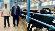 Gürer’den süre kısıtlamasına tepki﻿