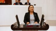 “Kadınlar ölüyor, kabineden ses çıkmıyor!”