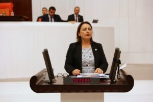 “Kadınlar ölüyor, kabineden ses çıkmıyor!”