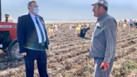 Gürer: “Dağı taşı ekin demekle iş bitmiyor”
