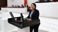 “İktidarın tek dostu Katar”