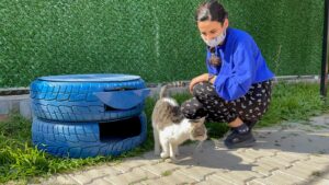 SEYHAN’DA SOKAK KEDİLERİ DE AÇIKTA KALMAYACAK