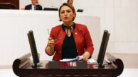 “Yüzbinlerce genç üniversiteli işsizlik girdabında”