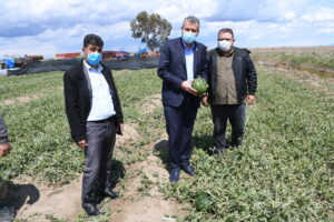 “Dolu mağduru çiftçilerin zararı karşılansın”
