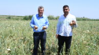 “Yiğidi kuru soğana muhtaç ettiler, soğan üreticisini de perişan”