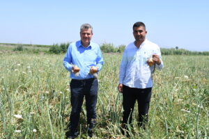 “Yiğidi kuru soğana muhtaç ettiler, soğan üreticisini de perişan”