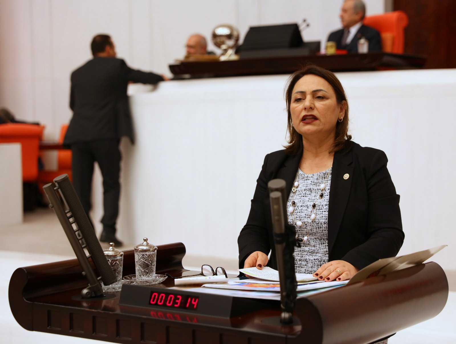 “Bekçilerin silahları alınsın”