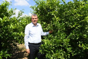 “AMS zararlısına karşı harekete geçilmeli
