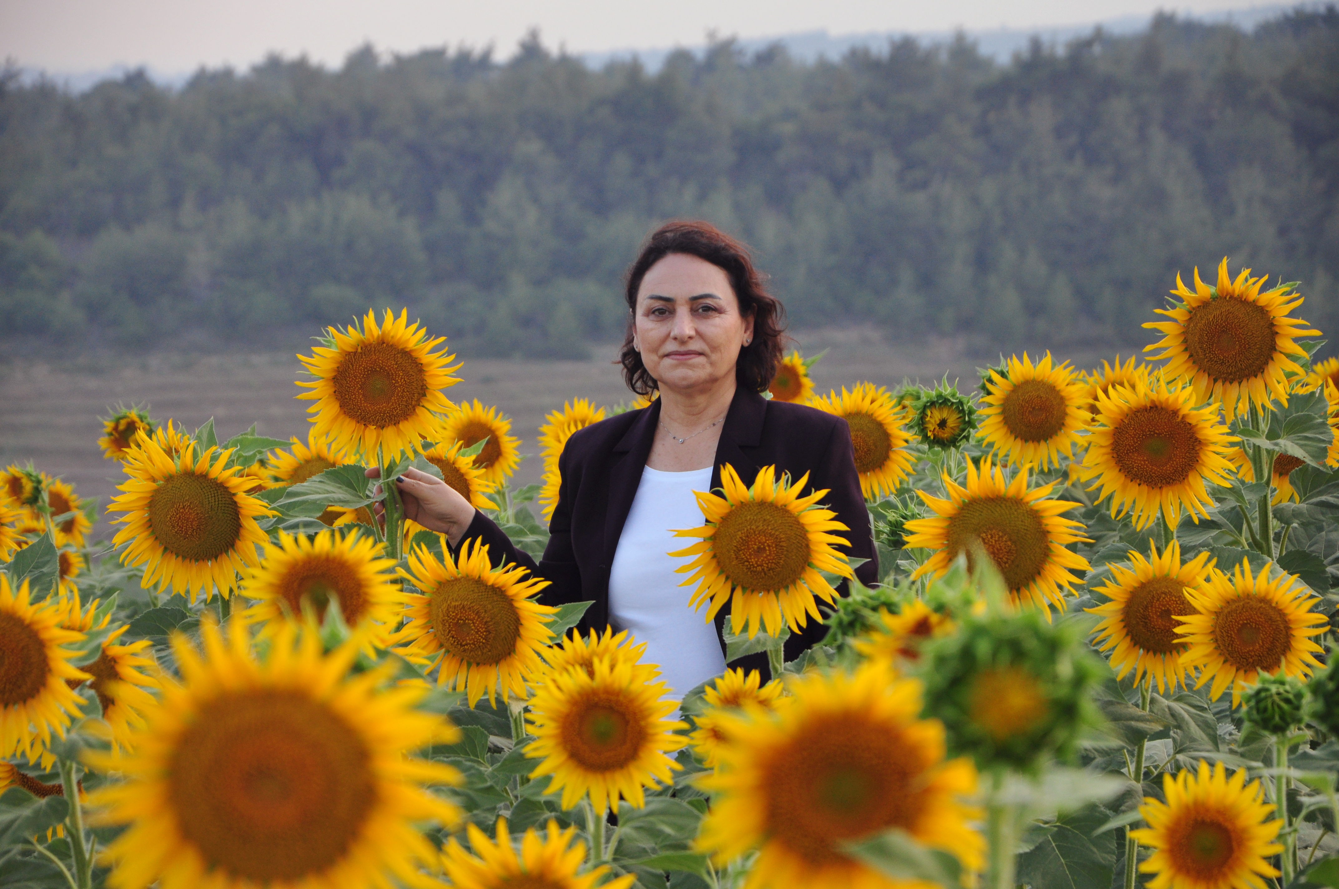 “Her yıl tükettiğimiz 3 milyon ton ayçiçeğinin yarıya yakını ithal!”