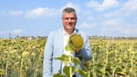 Ayhan Barut’tan ayçiçeği ve yerfıstığı çağrısı