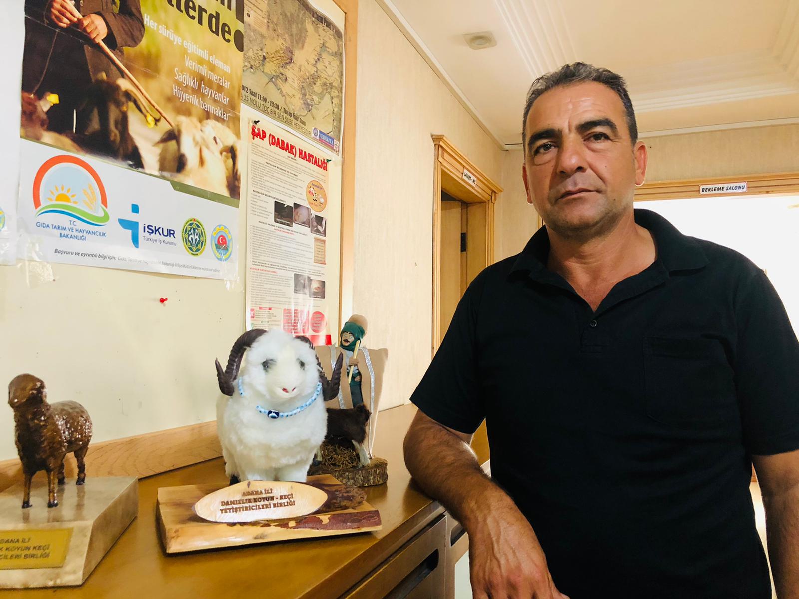 Kurbanlık alırken nelere dikkat edilmeli?
