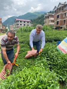 “Çay üreticilerini perişan ettiler”