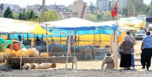 Çukurova’da kurban satış yerleri belirlendi
