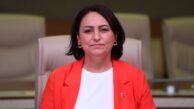 “Çocuk işçi sayısı artıyor, tarımsal işletme sayısı azalıyor”
