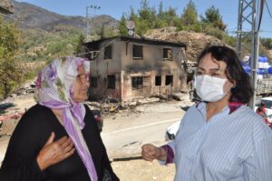 Orman yangınları ve THK uçakları için araştırma önergesi