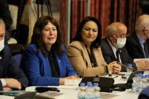“Fay Yasası’nı çıkarın, daha fazla insan ölmesin”