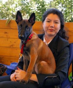 KÖPEK EĞİTİMİ NEDEN ÖNEMLİ ?