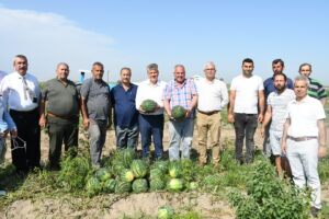 Karpuz tarlada 2.5, markette 15 lira”