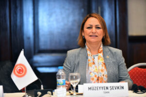 “Hükümet, sağlıksız yasa yapma eğiliminden vazgeçmiyor”
