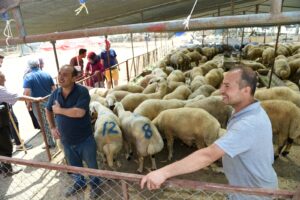 SEYHAN’DA KURBAN KESİMİ BU YIL DA ÜCRETSİZ