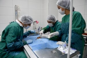 KİTAP HAYVANSEVERLERDEN KISIRLAŞTIRMA SEYHAN’DAN﻿