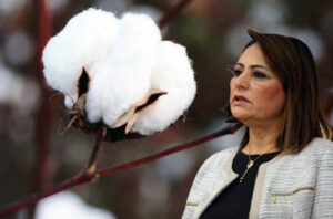 “Pamukta fark ödeme desteği geçen yılla aynı kaldı!”