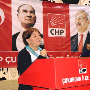 Elif Doğan Türkmen, Aday değilim.