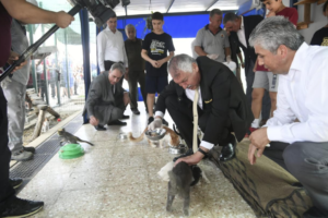 Hayvanları korumak insanlıktır…