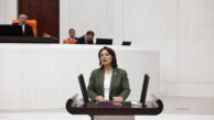 “Depremin yükü en çok kadınlar ve çocukların üzerine oldu”