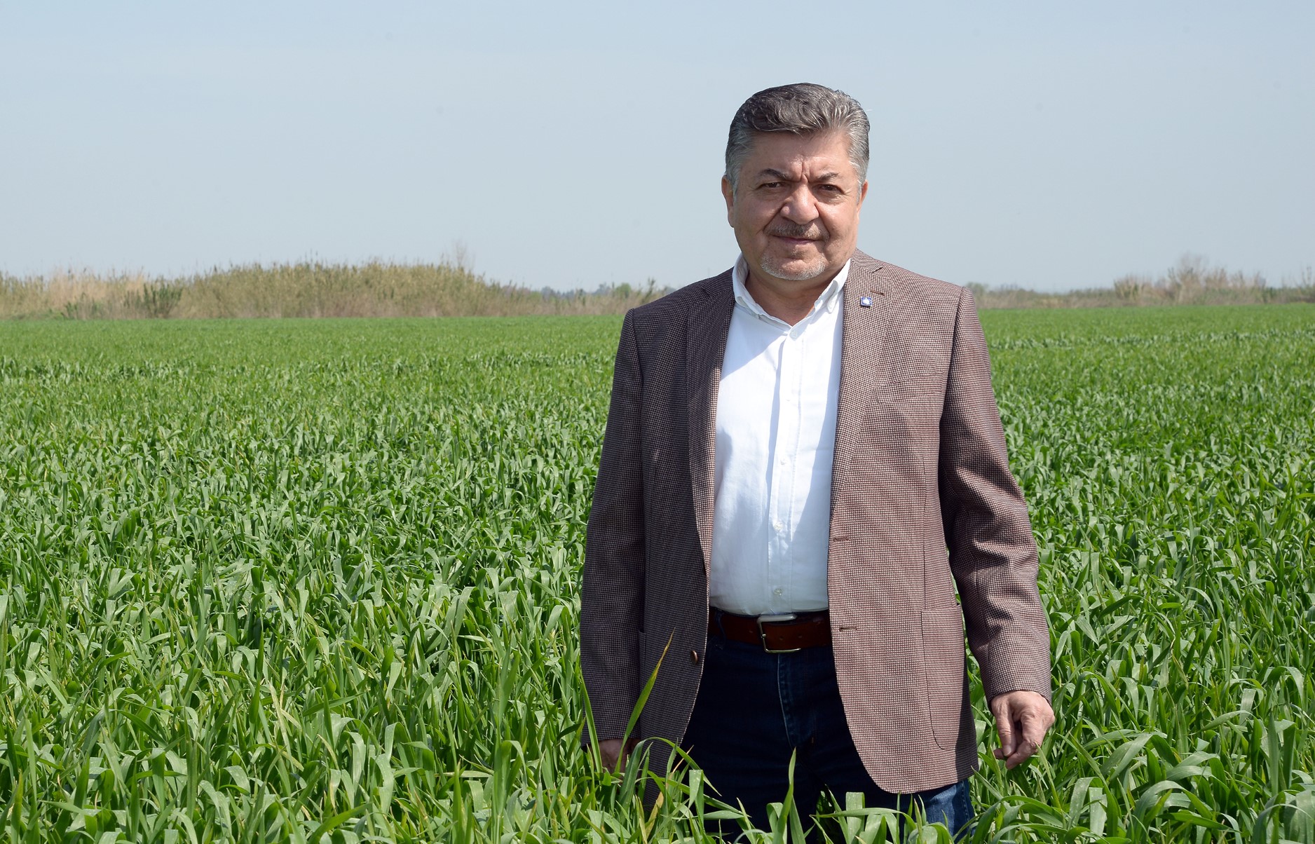 KORKUT: BUĞDAY TABAN FİYATI EN AZ 11 LİRA OLMALI